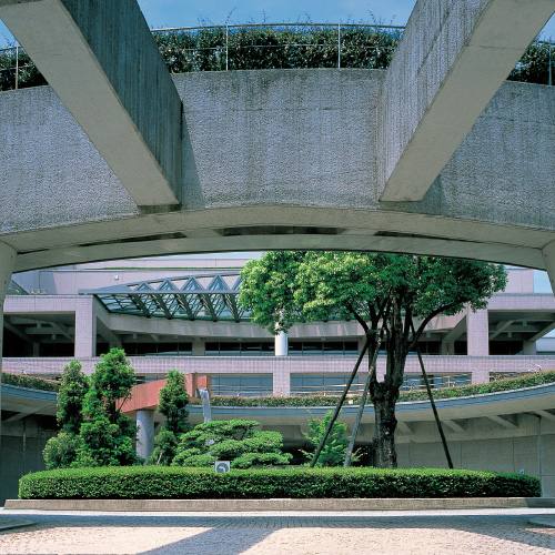 昭和薬科大学 公式写真 2