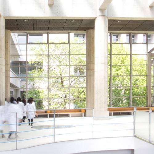 昭和薬科大学 公式写真 4