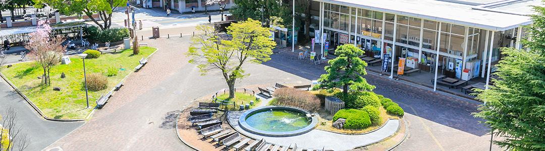 山梨大学 の写真