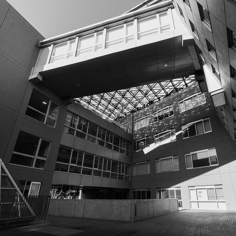 東京芸術大学 の写真