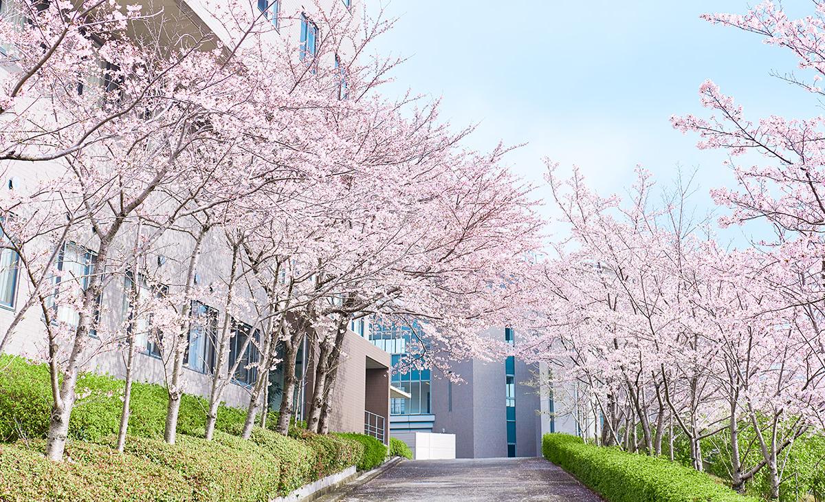関西大学 の写真