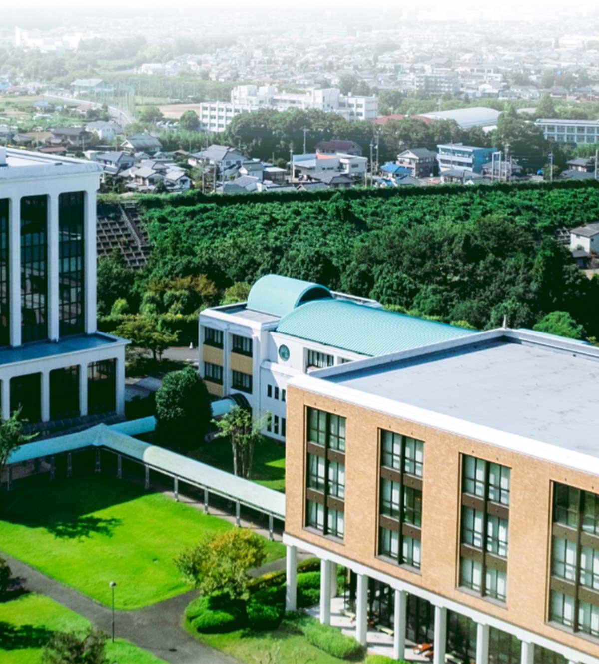 駿河台大学 の写真