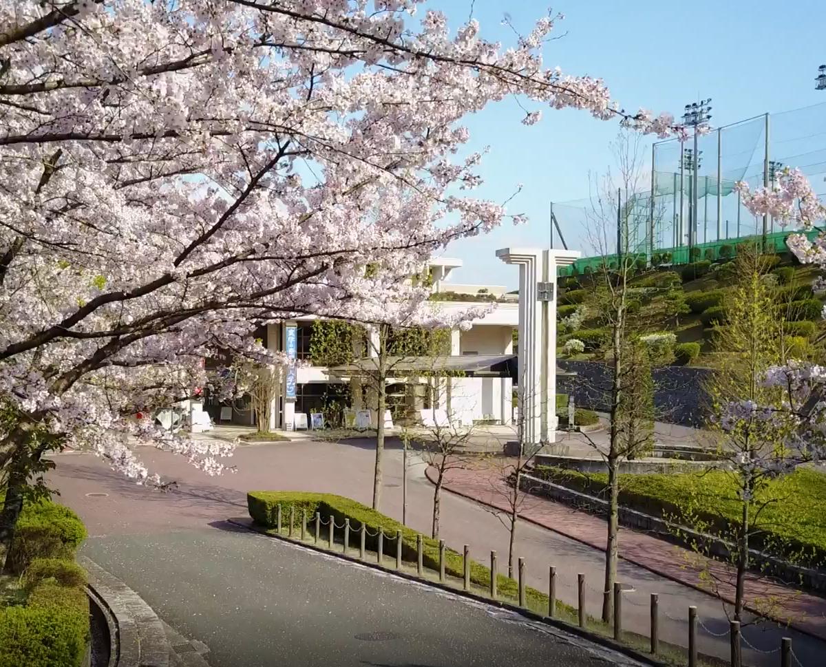 帝塚山大学 の写真