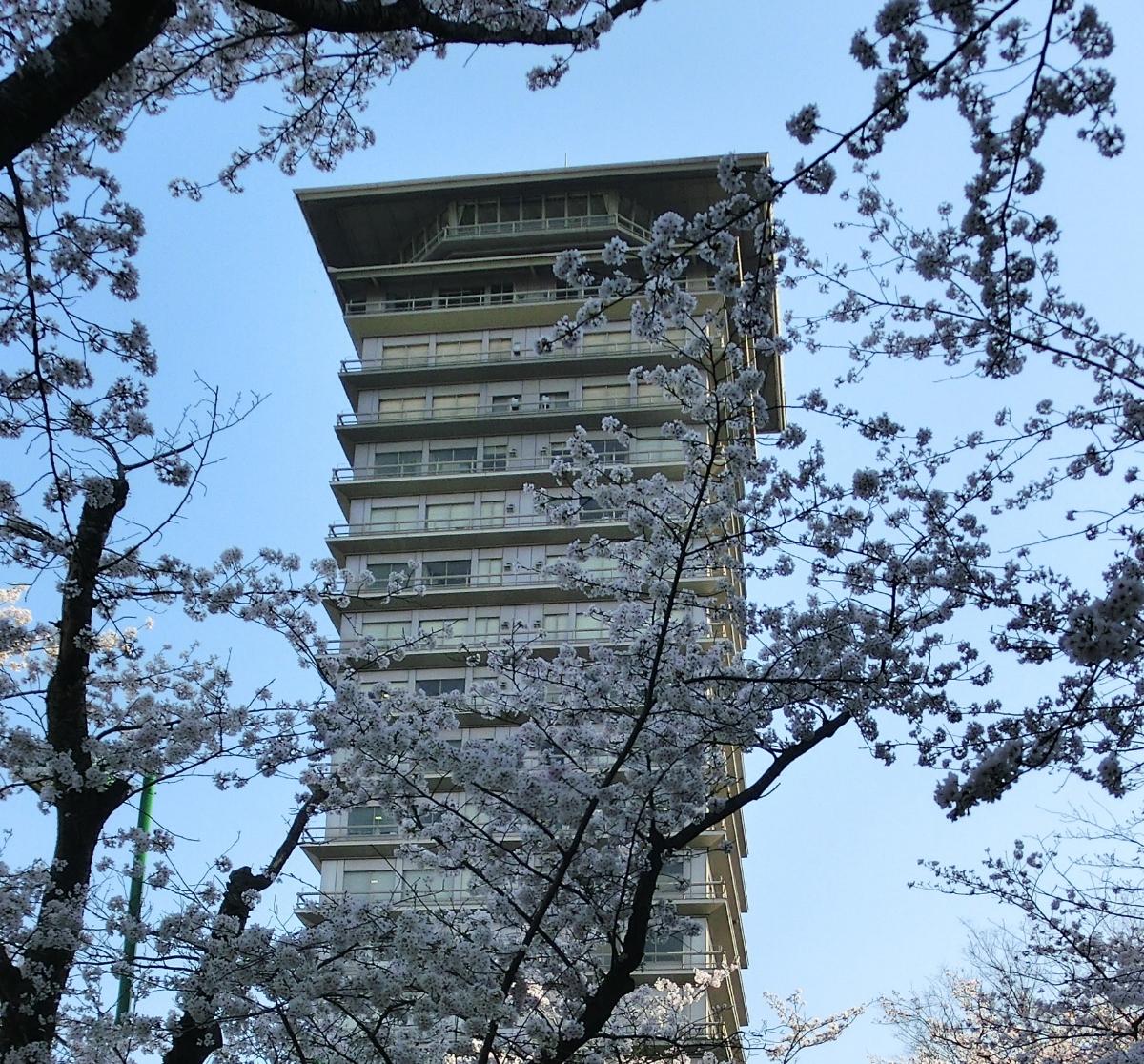 横浜薬科大学 の写真