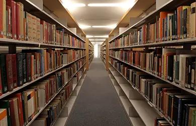国際仏教学大学院大学 の写真