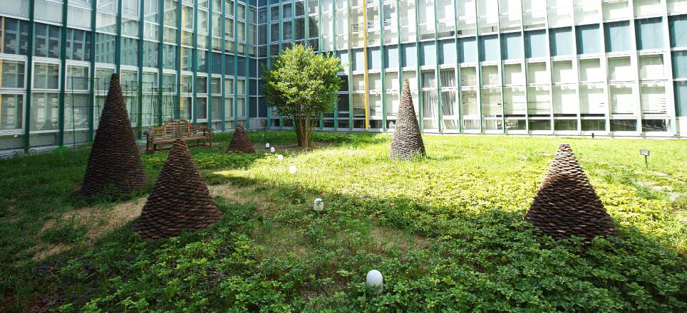 宮城大学 の写真
