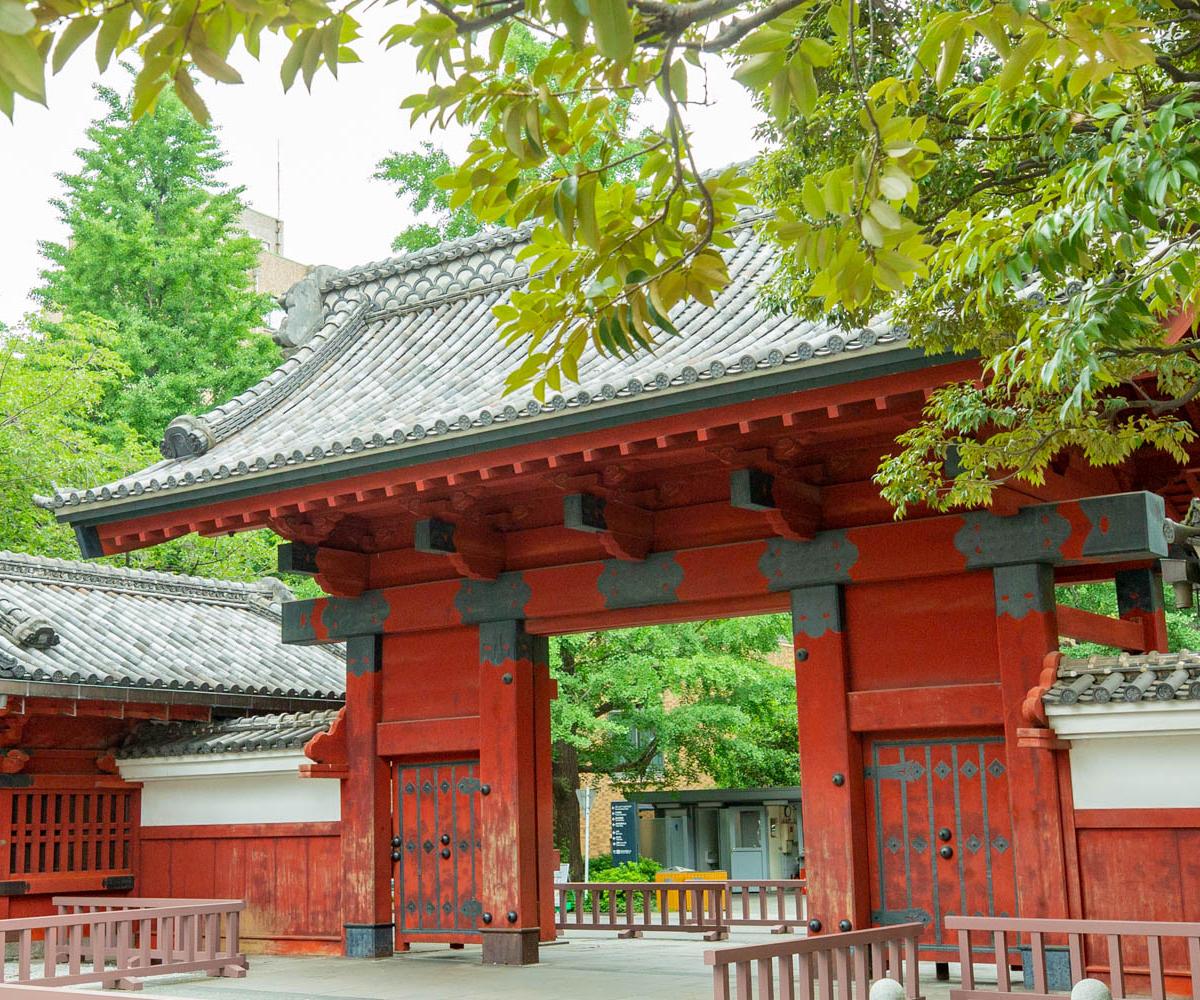 東京大学 の写真